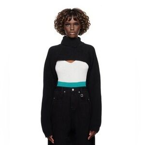 Bailey Rose Crop Hi/Low turtleneck sweater